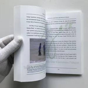 An Overview of the Marine Life Disaster in Vietnam, kolektiv autorů