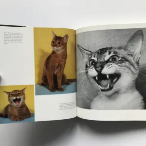 Das grosse Katzenbuch (podpis autora), Erich Tylinek, Isabella Tylinek, Manfred Bürger