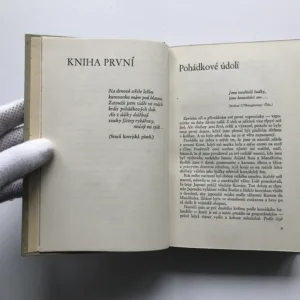 Drnová střecha, Younghill Kang