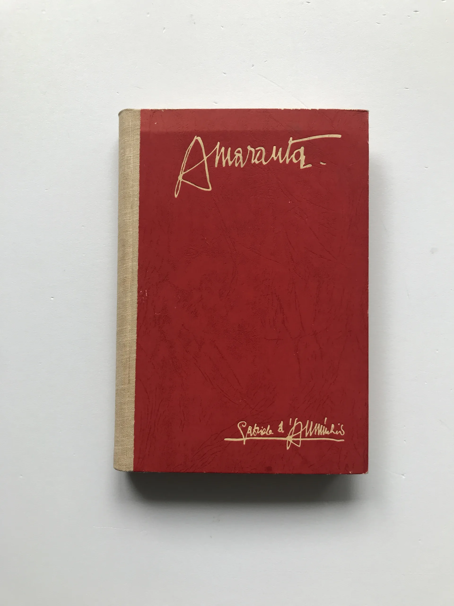 Amaranta (Deník tragické lásky), Gabrielle d'Annunzio