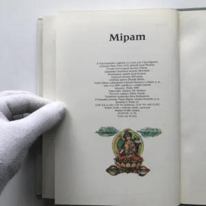 Mipam, lama s Paterou moudrostí, Lama Jongdän, Alexandra David-Neelová