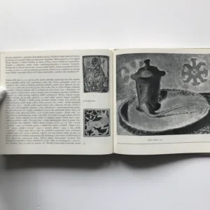 Francouzská léta Františka Tichého, Miloš Šafránek