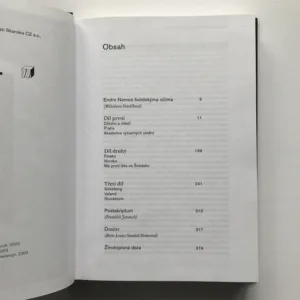 Pod příkrovem času, Endre Nemes