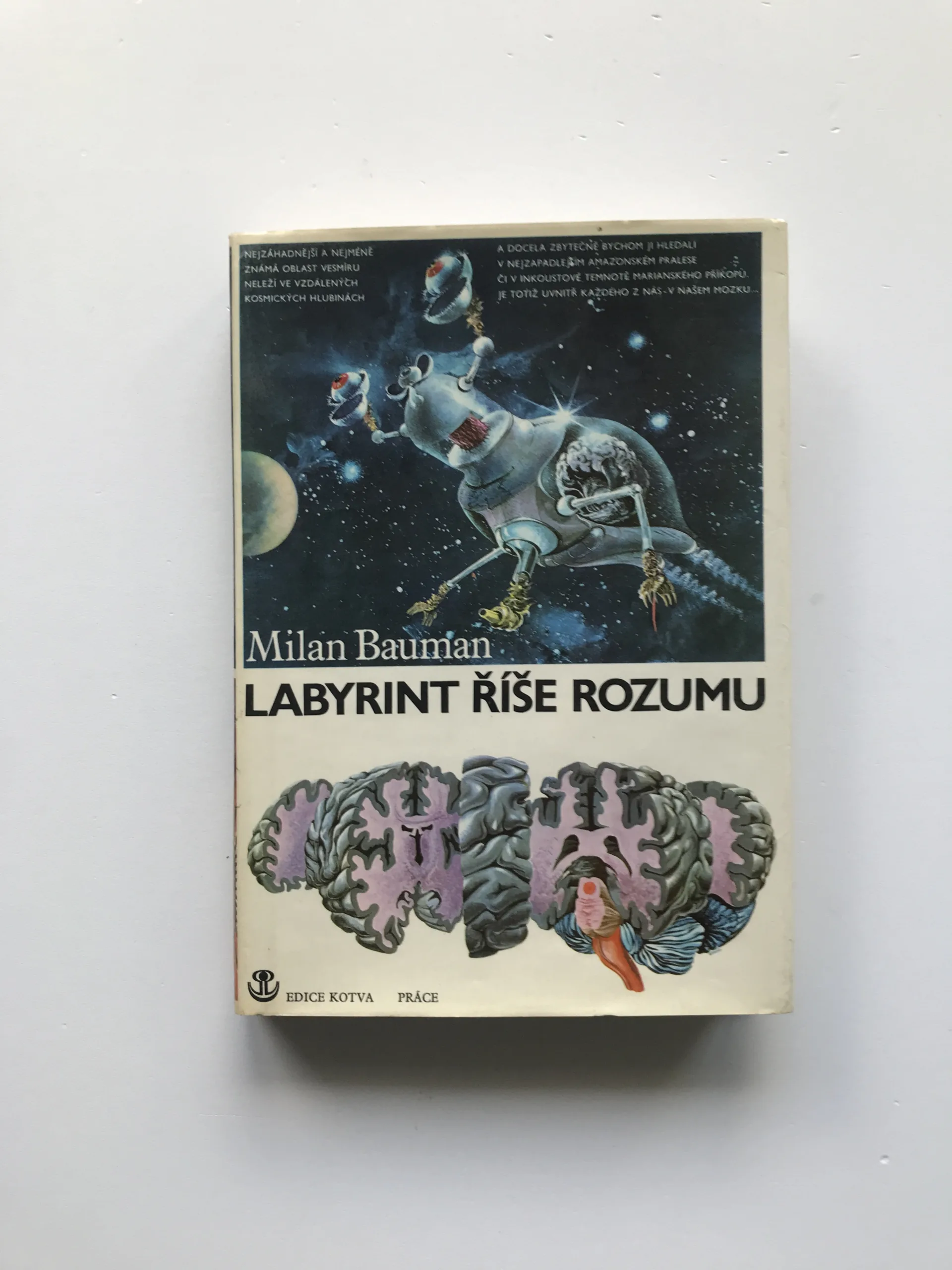 Labyrint říše rozumu (Taje lidského mozku), Milan Bauman, Teodor Rotrekl