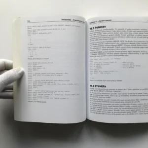 PostgreSQL – Praktický průvodce, Bruce Momjian