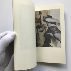 Emilie přichází ke mně ve snu, Jindřich Štyrský