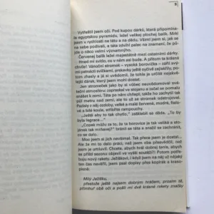 Rakety, míče, smeče, Josef Vlášek