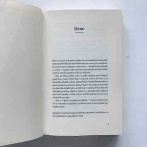 Hotýlek, Alena Mornštajnová