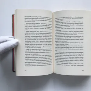 Hotýlek, Alena Mornštajnová