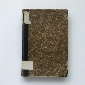 Dejiny literatúry slovenskej, Jaroslav Vlček