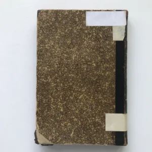 Dejiny literatúry slovenskej, Jaroslav Vlček