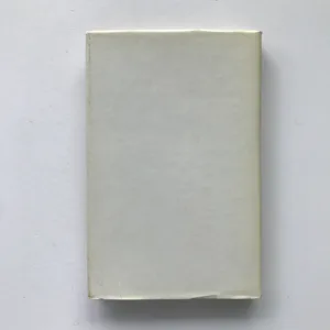 Setkání s Ježíšem na Hoře, v podobenstvích, u Jezera a s učedníky (Výklad biblických textů, meditace, modlitby), Jan Merell