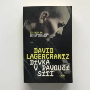 Dívka v pavoučí síti, David Lagercrantz
