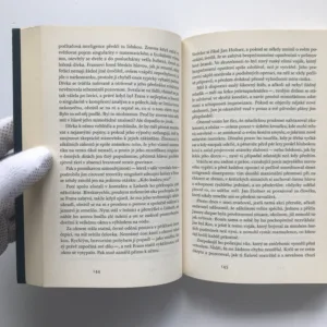 Dívka v pavoučí síti, David Lagercrantz