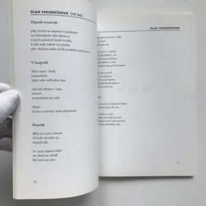 Almanach JWG (Sborník prací literární soutěže JWG Teplice 1995-2001)