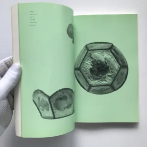 Revolver Revue 41