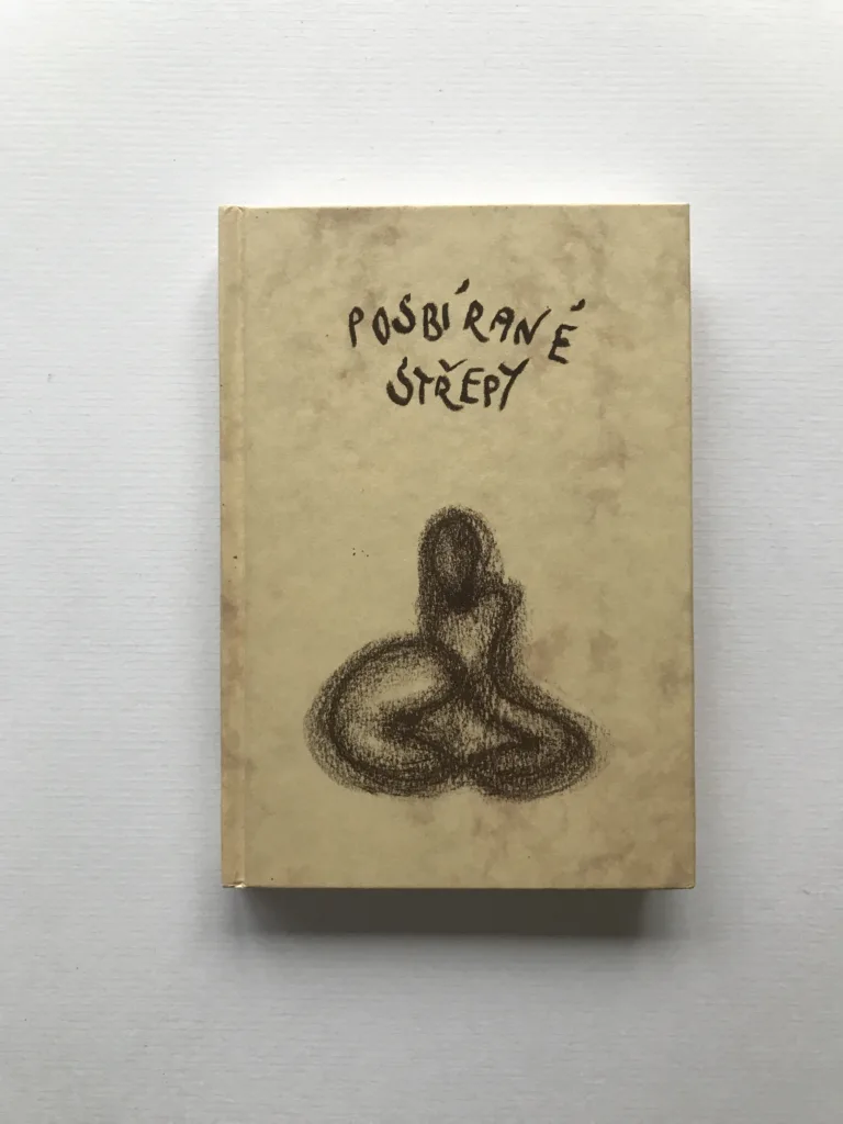 Posbírané střepy, Markéta Kotková
