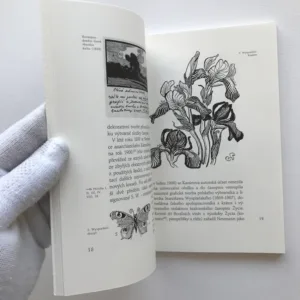 Příběh štočků (Kresby Františka Kavána v publikacích S. K. Neumanna a Stanislawa Przybyszewského), Aleš Zach