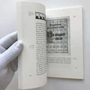 Příběh štočků (Kresby Františka Kavána v publikacích S. K. Neumanna a Stanislawa Przybyszewského), Aleš Zach