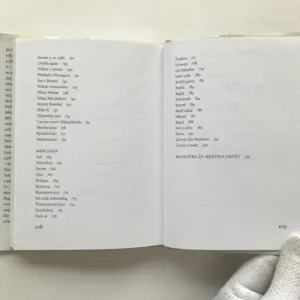 Grušas Wacht am Rein aneb Putovní ghetto (České texty 1973-1989), Jiří Gruša