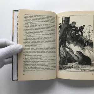 Historie Svorné sedmy / Nováček Bubáček píše deník, Jaroslav Foglar