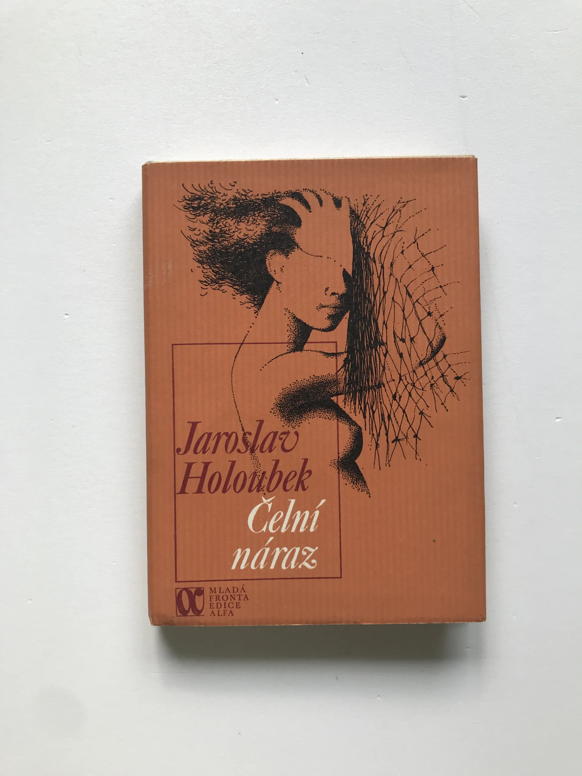 Čelní náraz, Jaroslav Holoubek