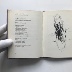 Syndrom mizející plíce, Miroslav Holub, Jaroslav Šerých