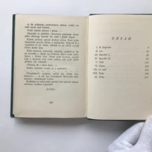 Poletující úsměvy (podpis autora), Jindřich Snížek
