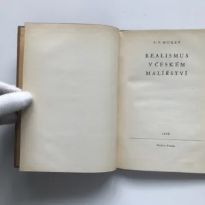 Realismus v českém malířství, F. V. Mokrý