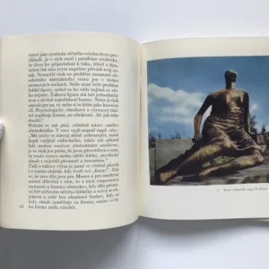 Henry Moore, Dušan Šindelář