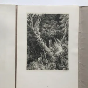 Satyr, Max Švabinský, Victor Hugo