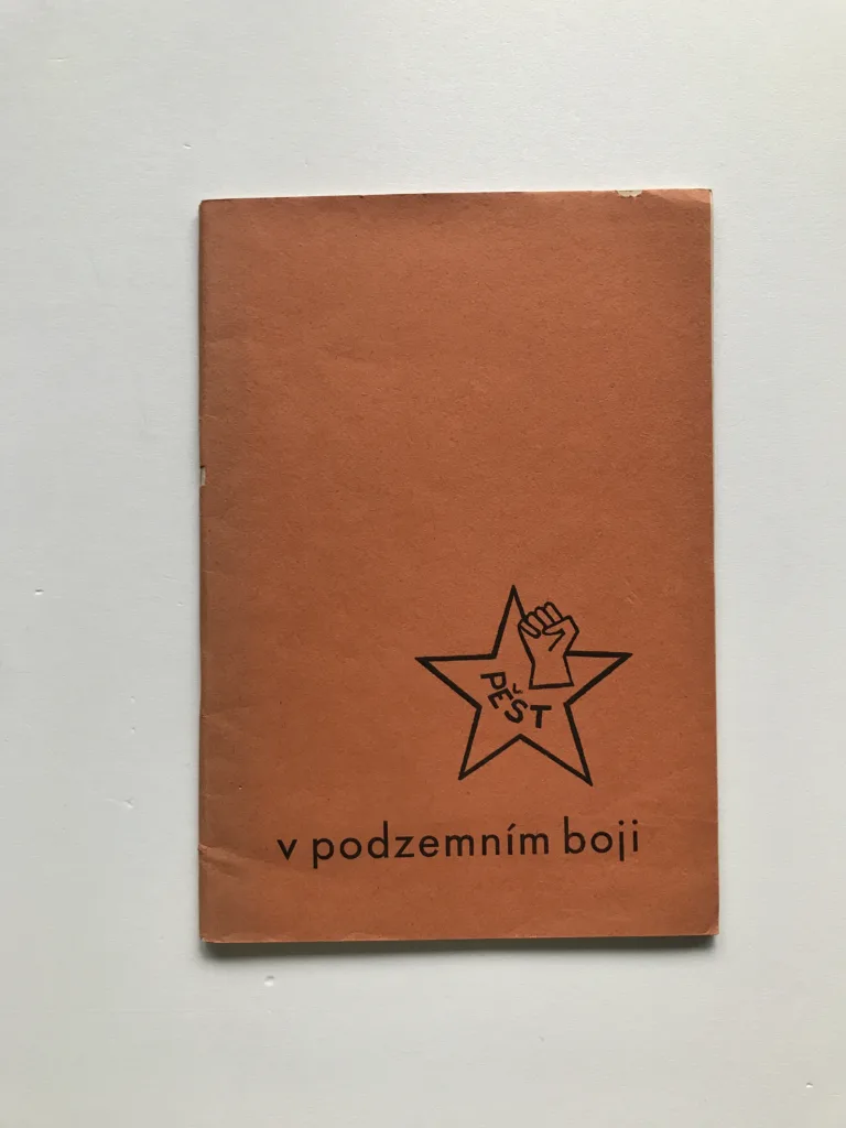 Pěst v podzemním boji, Ústřední vedení českých bojových oddílů Pěst