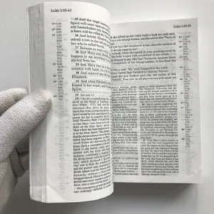 The New Testament (Recovery Version)