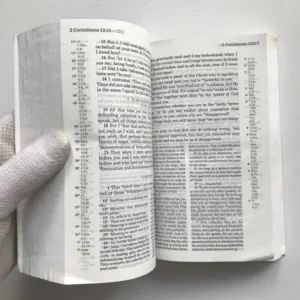 The New Testament (Recovery Version)