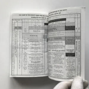 The New Testament (Recovery Version)