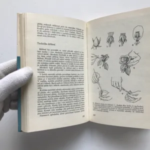 Růže, královna květin, Bohumil Jaša, Jaroslav Havlů, František Klimeš