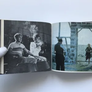 Amarcord, Federico Fellini, Tonino Guerra