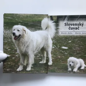 Slovenský čuvač, Marián Malec, Marián Vanek
