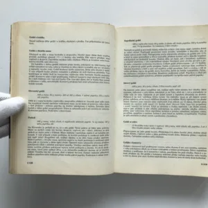 Kuchařka naší vesnice, Marie Hrubá, František Raboch