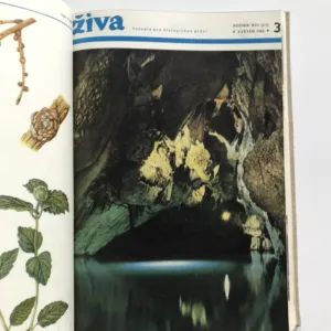 Živa – Časopis pro biologickou práci (ročník 1965)
