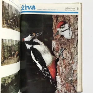 Živa – Časopis pro biologickou práci (ročník 1965)
