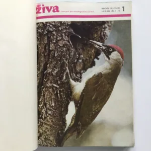 Živa – Časopis pro biologickou práci (ročník 1963)