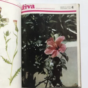 Živa – Časopis pro biologickou práci (ročník 1963)