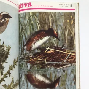 Živa – Časopis pro biologickou práci (ročník 1963)