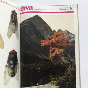Živa – Časopis pro biologickou práci (ročník 1963)