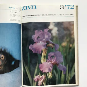 Živa – Časopis pro biologickou práci (ročník 1972)