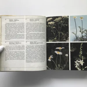 Barevný atlas rostlin, Dušan Randuška, Ladislav Šomšák, Izabela Háberová