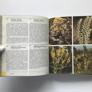 Barevný atlas rostlin, Dušan Randuška, Ladislav Šomšák, Izabela Háberová