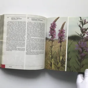 Barevný atlas rostlin, Dušan Randuška, Ladislav Šomšák, Izabela Háberová