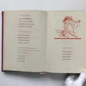 Kniha veršů, Karel Havlíček Borovský
